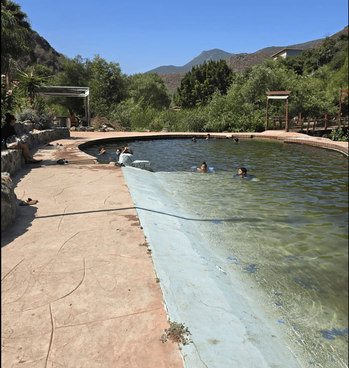 custom section image